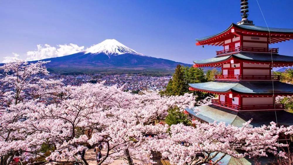 把握新经济机遇，日本公司注册现热潮